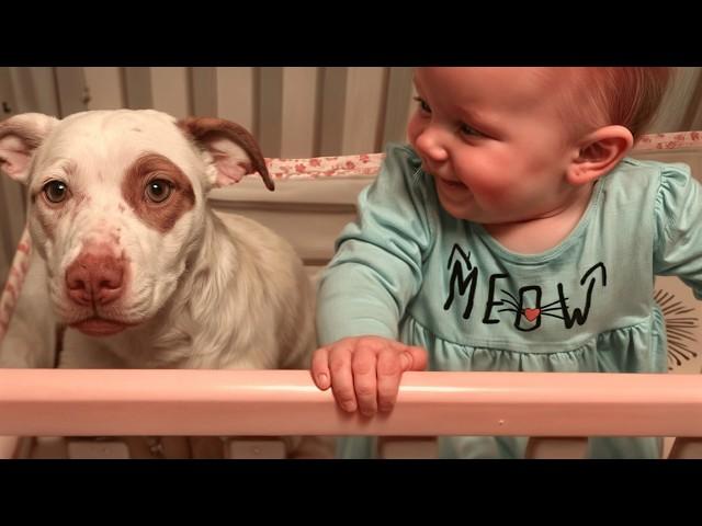 CUTEST Viral Dogs EVER!!