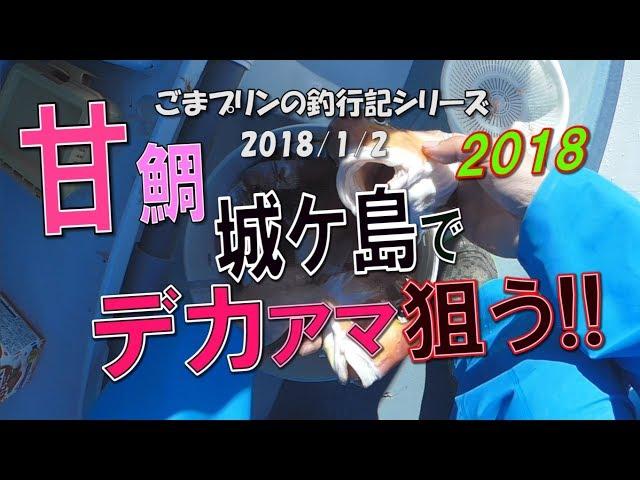 【相模湾アマダイ】城ケ島でデカアマ狙う!!(2018/01/02)