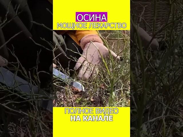 ИЗБАВЬТЕСЬ от ОТЁКОВ без таблеток и операций! #shotrs #отек #фитотерапия