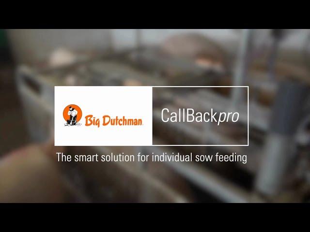 Free-access stall With Electronic sow feeding | CallBackpro