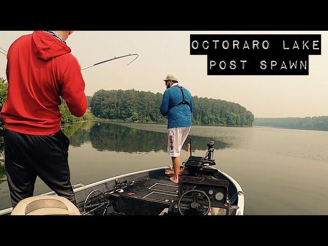 We put a beatdown on Octoraro Lake but did we cull up enough? W/ @DougReiserFishing