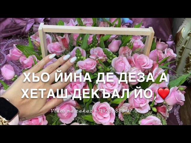 Дала декъал йойла