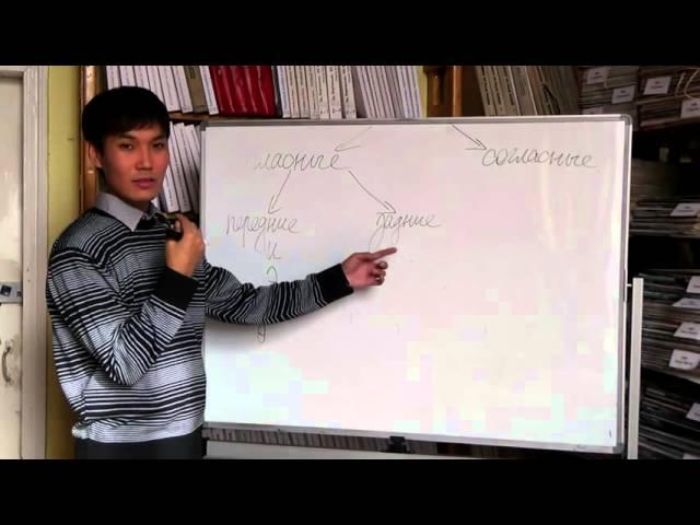 Классификация звуков  Классификация гласных  передние и задние