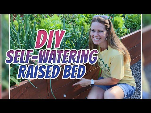 DIY Self Watering Raised Beds/Green Thumb Nursery