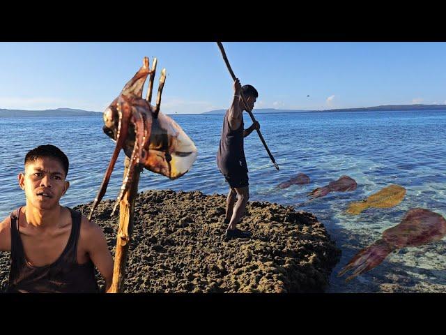 Hari Ke 15 di Pulau Terpencil BANYAK CUMI BERKELIARAN DI DEPAN GUBUK KAKEK