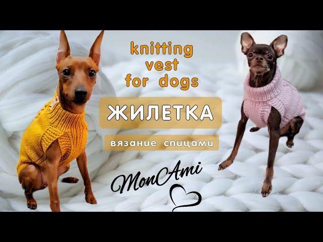 Как связать спицами жилетку для собаки, knitting vest for dogs