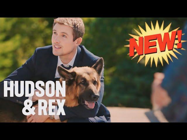 Hudson & Rex Season Hudson & Rex full episodes 2024 New Today  Hudson & Rex Full Episode #A211