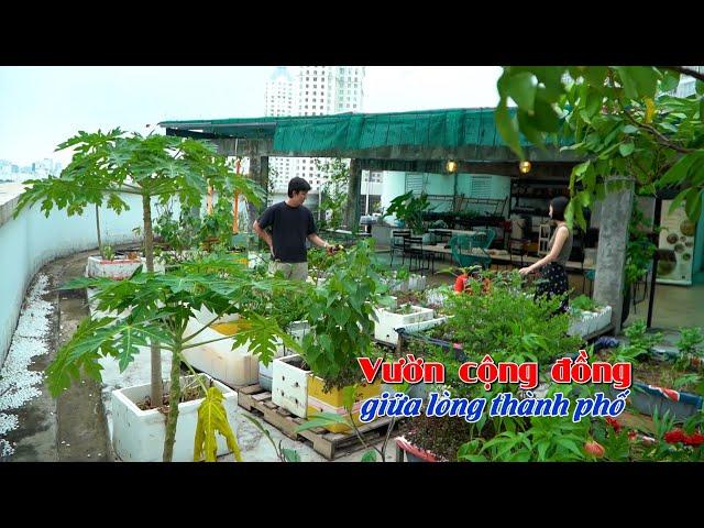 VƯỜN CỘNG ĐỒNG giữa lòng thành phố | Thành phố ấm áp tình người | VTV9