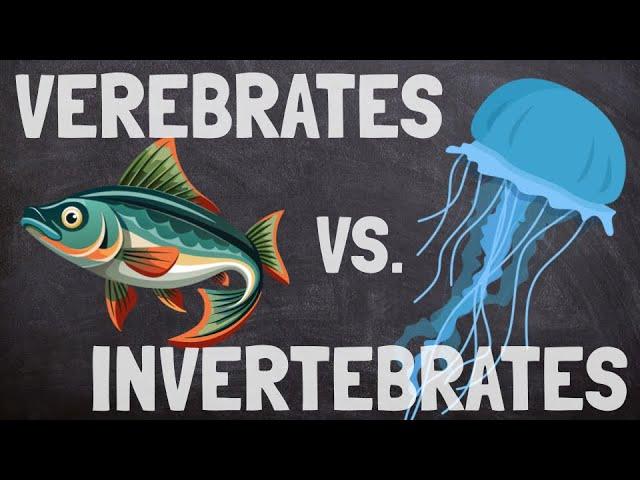 Classifying Animals as Vertebrates and Invertebrates