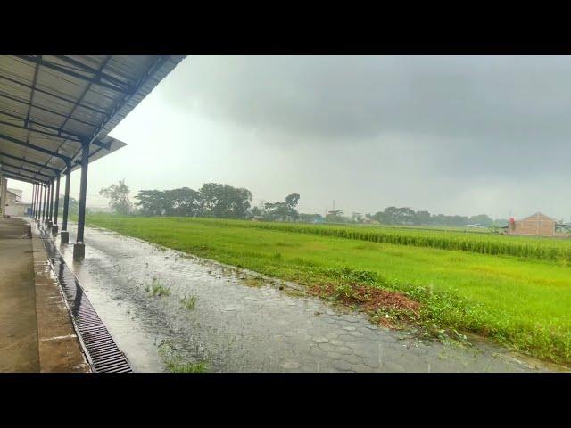 Rain Sounds on the Roadside, Peaceful White Noise for Mindful Rest | Calm Rain Sounds