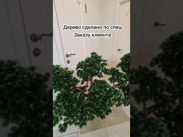 #озеленение на заказ #декор #bonsai #тренд #видео #видео #стиль #мода #бонсай #мир #декоринтерьера