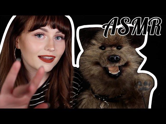 ASMR? With Hacker T. Dog - Let us Puppy Pamper You!