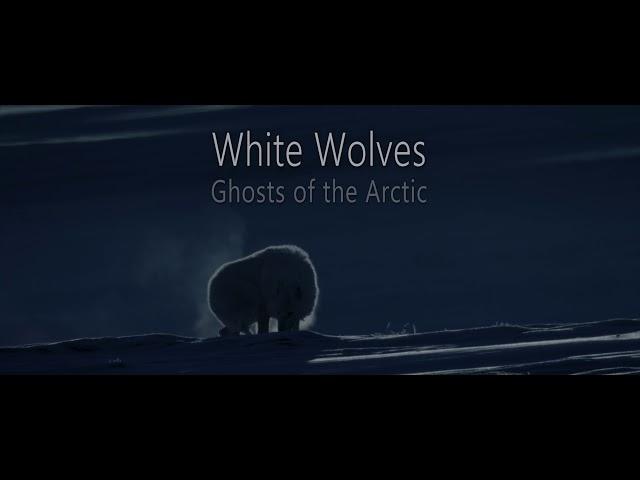 White Wolves: Ghosts of the Arctic - Trailer for WCFF