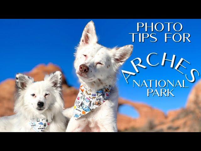 Dog Friendly Road Trip - Ep 5 | Arches National Park