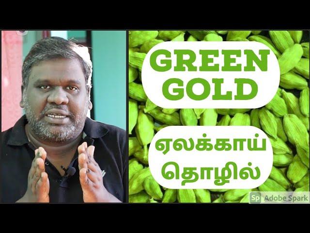 Cardamom Business Plan In Tamil | Per Day Income Rs.20k | Unknowing Elakkai Market Secrets | Eden Tv