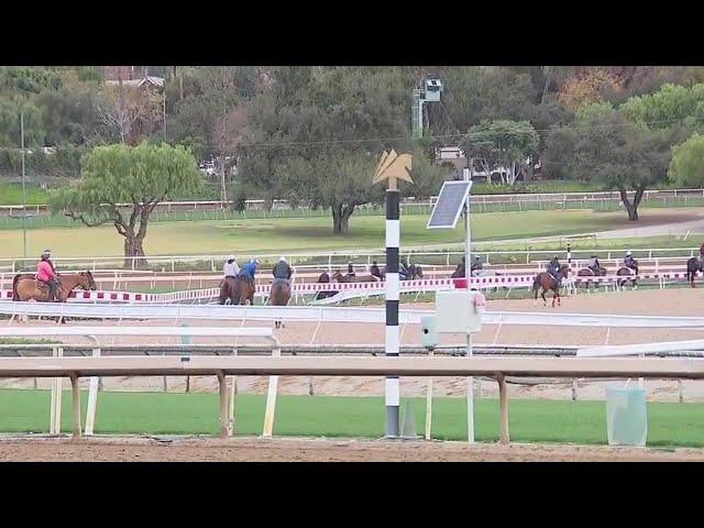 Santa Anita Park celebrates 90th season