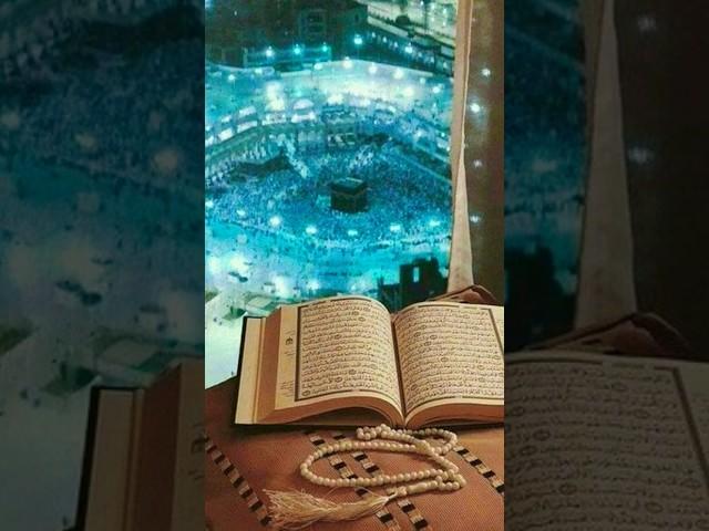 Quran Paak Ki 8 khubsurat  Bate#islamic#shorts#ytshorts#islamicshorts #beautifulwords#allah#trending