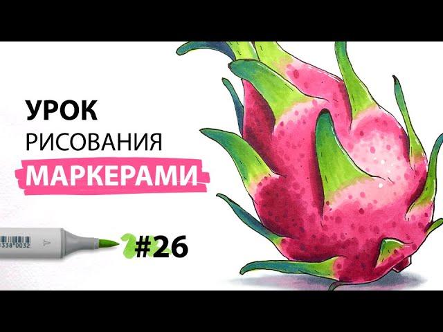 Как нарисовать драгонфрут / питайю? / Урок по рисованию маркерами для новичков #26