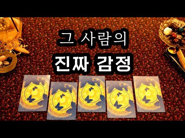 [타로] 상대방 속마음