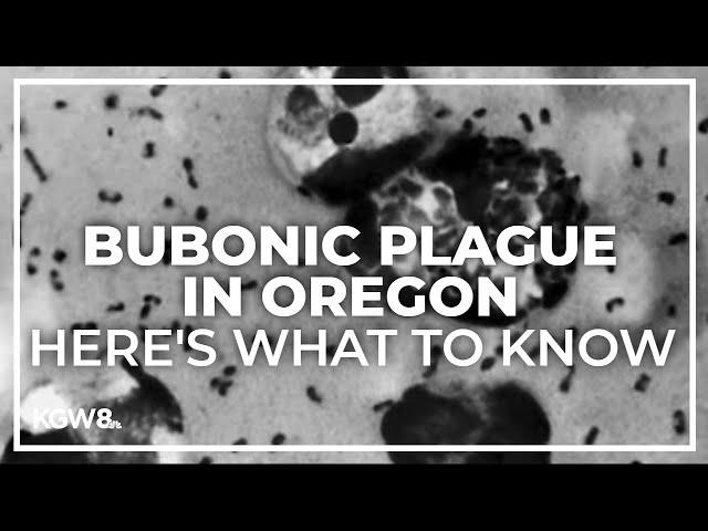 Central Oregon resident diagnosed with bubonic plague