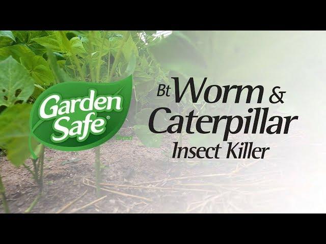 Garden Safe Brand BT Worm