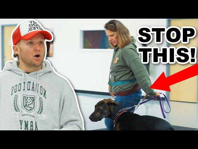 This could RUIN your relationship with your dog :(