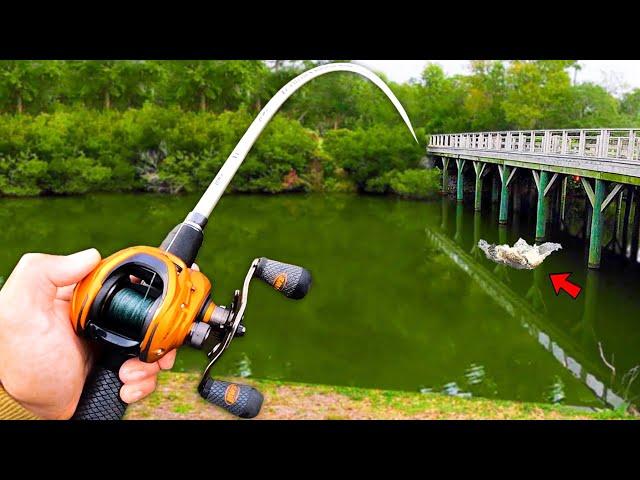 Fishing for 10lb Bass in HIDDEN Pond!