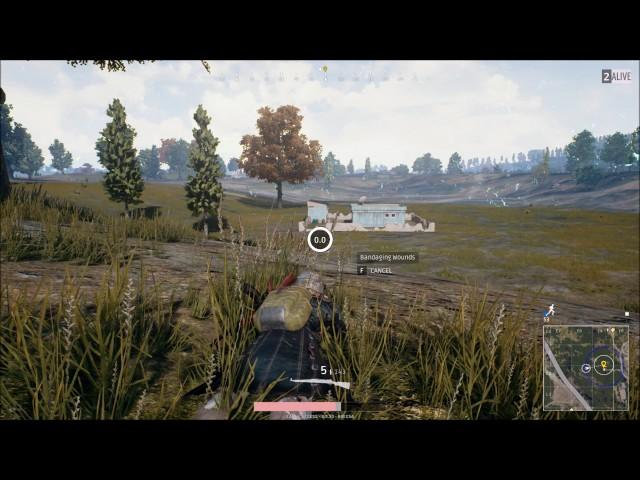 Chicken dinner