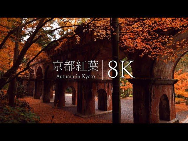 [Autumn leaves in Kyoto] Visit Nanzenji Temple and Suirokaku - 8K