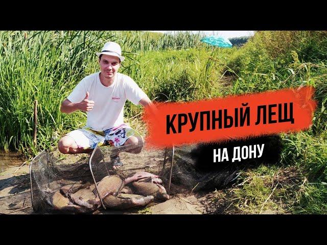 Ловля крупного леща на Дону. Рыбалка в Липецкой области