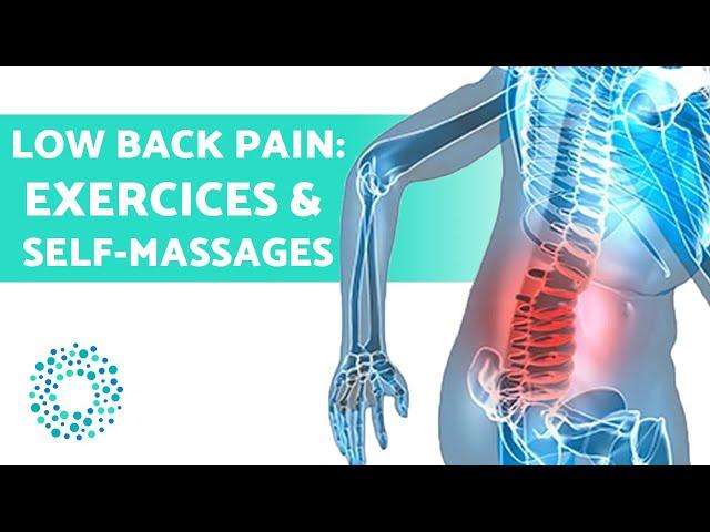 LOWER BACK PAIN  Treatment with EXERCISES, SELF-MASSAGES and STRETCHES 