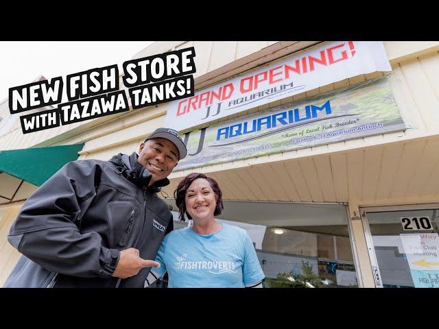 Local Fish Store GRAND OPENING with Tazawa Tanks