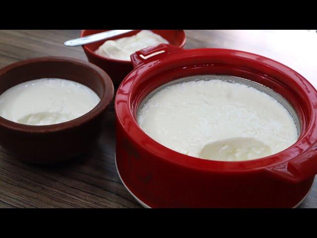 നല്ല കട്ട തൈര് കിട്ടാൻ ഇതുപോലെ ചെയ്‌തു നോക്കൂ | Homemade Thick Curd | Tips Tricks | Dahi Curd Recipe