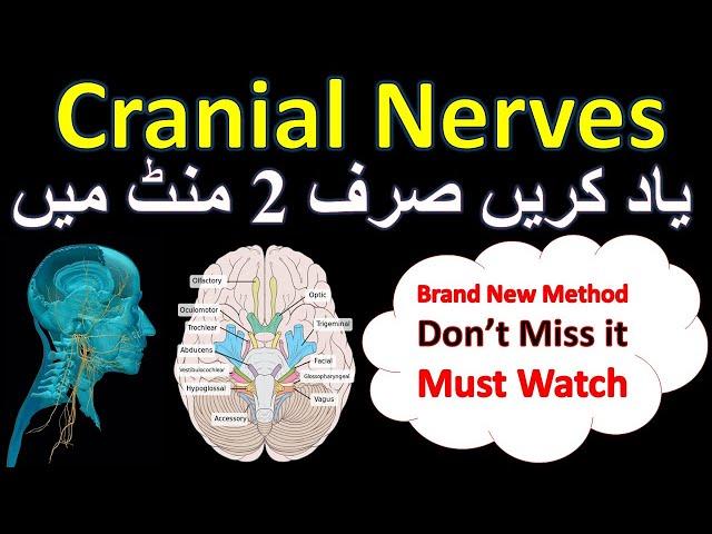 Memorize Cranial Nerves easily  in two minute Urdu Hindi | types of cranial nerves| 12 cranial nerve