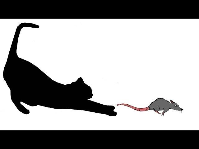 CAT GAMES - RAT TAIL BANDIT (FOR CATS ONLY)