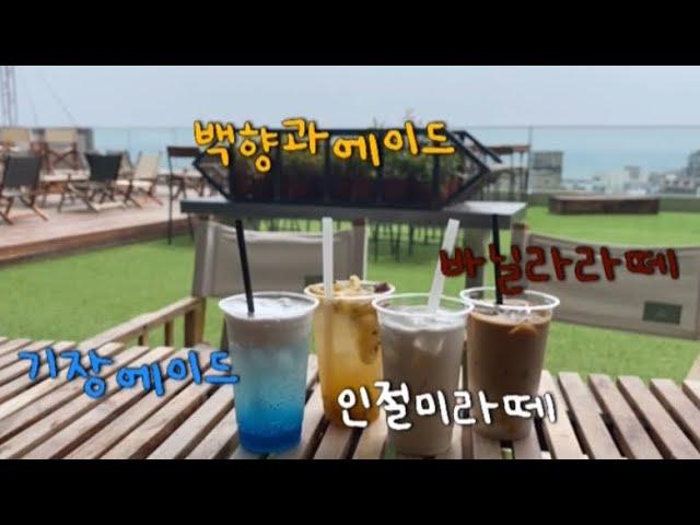 [요효in부산] 3편. 기장 까페 추천 - 까페드220볼트 cafe de 220 volt 까페리뷰VLOG