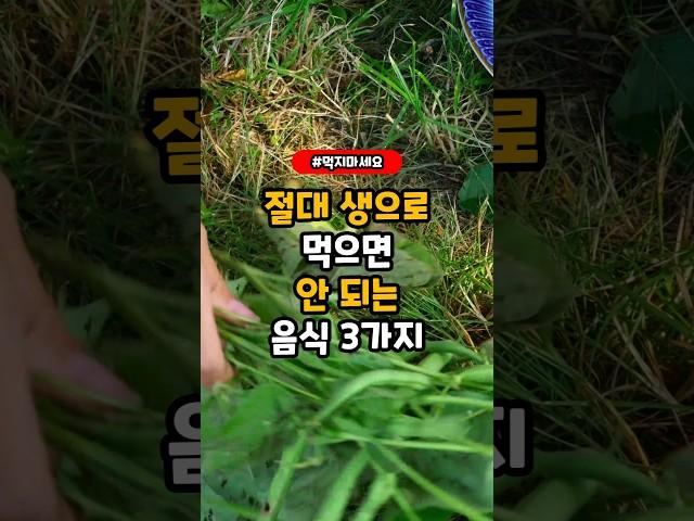 절대 생으로 먹으면 안되는 음식 3가지. #건강정보 #음식 #식품정보 #건강 #지식