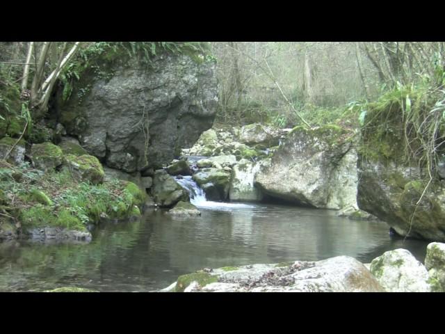 Torrente Chiampo a Ferrazza di Crespadoro (VI) Novembre 2016.