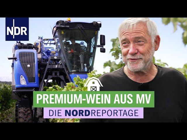 Vollerntemaschine im Weinanbaugebiet in Mecklenburg-Vorpommern | Die Nordreportage | NDR