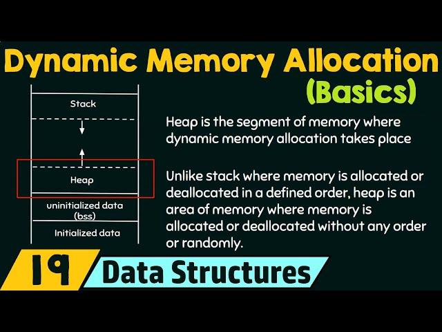 Basics of Dynamic Memory Allocation