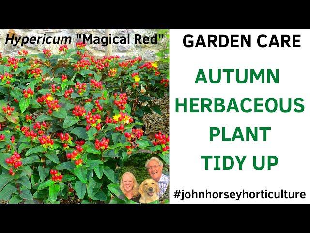 HOW TO CUT BACK HERBACEOUS PLANTS IN AUTUMN - HERBACEOUS PLANT TIDY UP