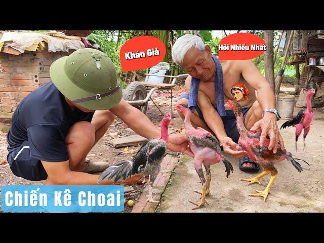 Gà Choai - Khán Giả Hỏi Thăm Nhiều Nhất / Đức Hiếu