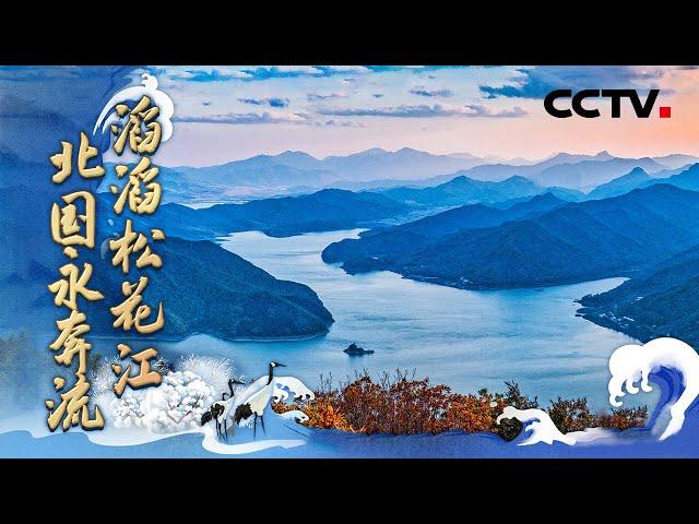 松花江畔看奔腾的东北！黑土地上“中国智造”谱新篇 | CCTV「江河奔腾看中国」