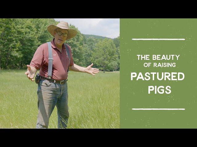 How Pigs Can Give You Beautiful Pastures | Joel Salatin