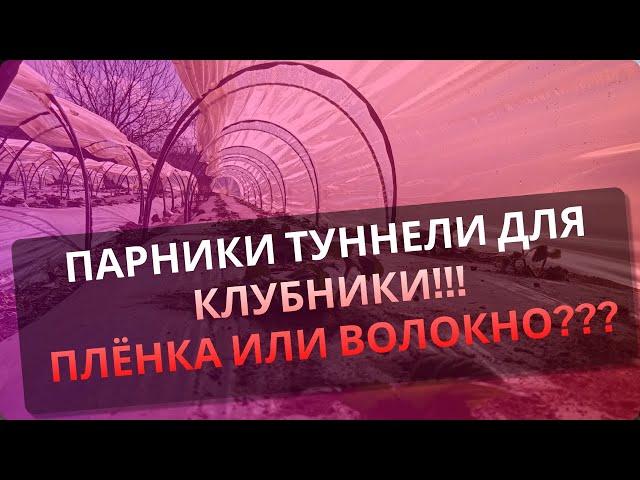 ТУННЕЛИ ПАРНИКИ для клубники. Плёнка или агроволокно? Ранний урожай при маленьком бюджете.