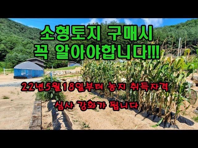 소형 토지구매시 주의사항/농지취득자격증(농취증) 알려드려요