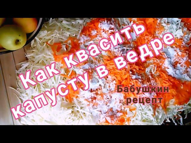 как квасить капусту в ведре рецепт моей бабушки