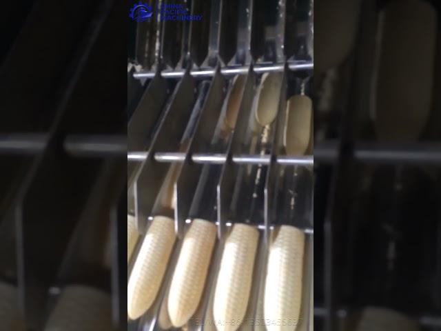 Automatic Corn Shape Wafer Cone Machine|Wafer Ice Cream Cone Line| Cone Biscuit Making Machine