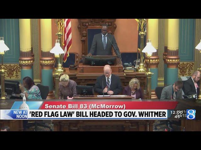 Michigan Senate passes 1 of 4 'red flag' law bills