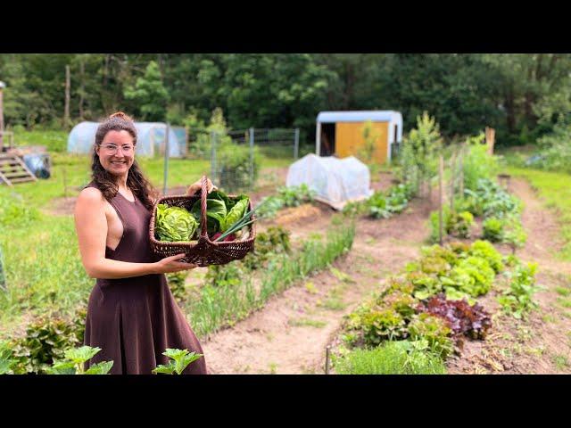 Mein 120m2 Gemüsegarten: Komplette Tour!